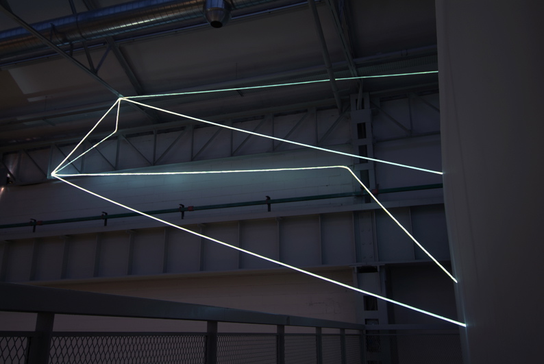 Carlo Bernardini, Campo Organico di Luce 2010, installazione in fibre ottiche interno esterno, mt h 5x20x10. La Scultura Italiana del XXI secolo, Fondazione Pomodoro, Milano.