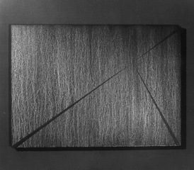 CARLO BERNARDINI, Division of Visual Unity 1996, white pigments in acrylic powder and phosphorous on boards; feet h 3x4,5 (dark).